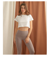 Hot Top Crop Tee Minimal Basic Style Women's Top !  Designer Fashion 2305