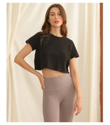 Hot Top Crop Tee Minimal Basic Style Women's Top !  Designer Fashion 2305