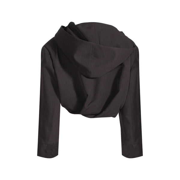Streetwear Style Hooded Crop Top ! Casual Street Wear Top Cyber Fashion 2304