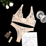 Plunge Tank! Sexy See-through Mesh Lingerie Bra and Panty Set, Sexy Lingerie, Embroidery Underwear - KellyModa Store