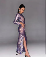 Blingbling See-through Mesh Cover Long Dress with Rhinestones , Shining Clubwear 2205