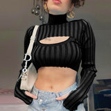 Sexy Turtle Neck Crop Top Knitwear 4 Colors! See through Sexy Knitted Top Celebrity Fashion 2111 - KellyModa Store